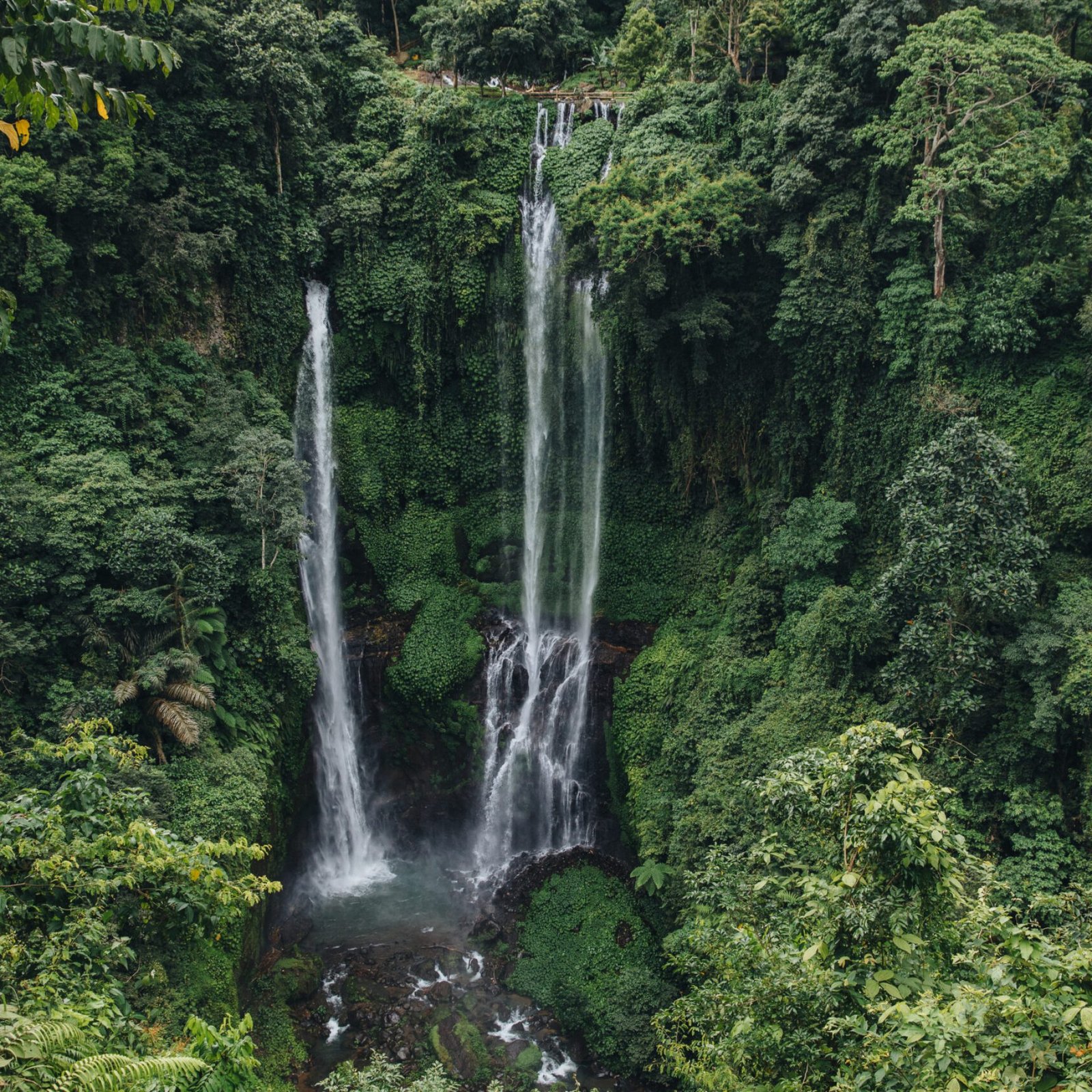 scenic landscape with green trees and majestic waterfall Sekumpul, Bali