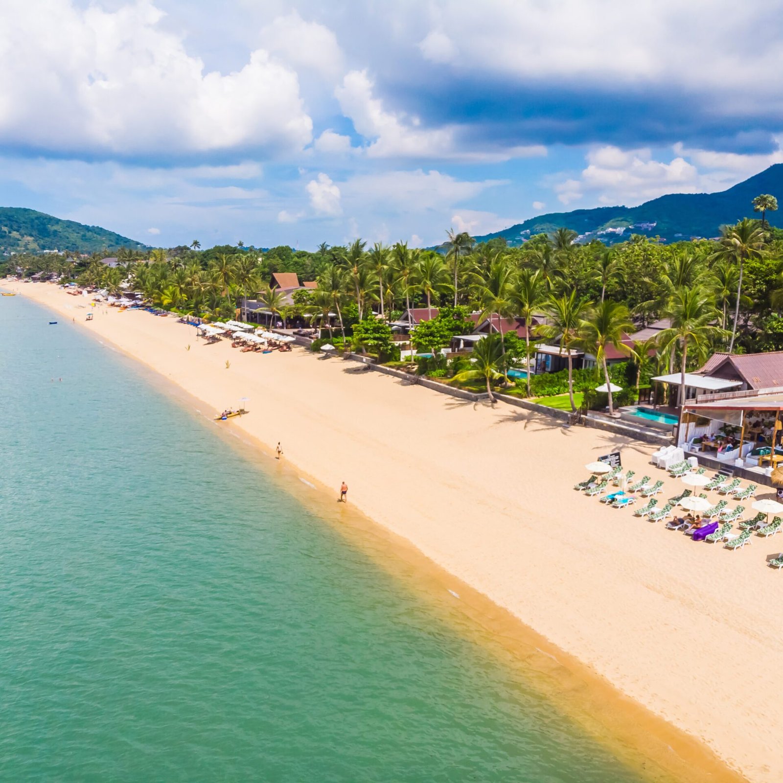 Aerial view of beautiful tropical beach and sea with palm and other tree in koh samui island for travel and vacation